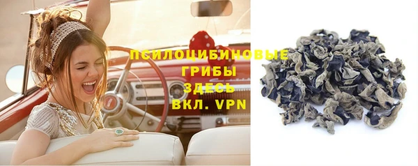 СК Нягань