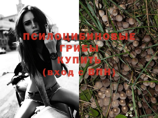 прущая мука Новодвинск