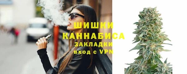 spice Новозыбков