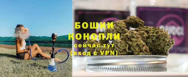 Каннабис OG Kush  Ялуторовск 